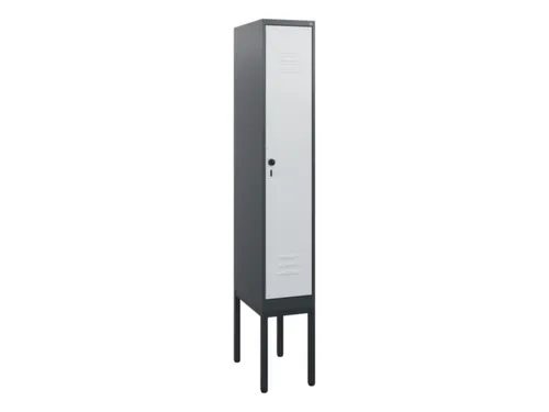 locker,HxBxD 1950x300x500mm,1vak,vak B 300mm,draaigrendel