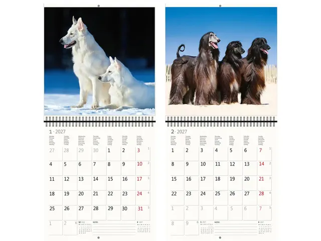 Kalender 2027 Helma 365 30x30cm honden