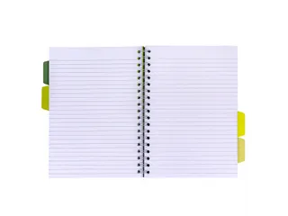 Projectboek Pukka Pad Recycled B5 lijn 4-tabs 200 pagina's 80gr groen - 3
