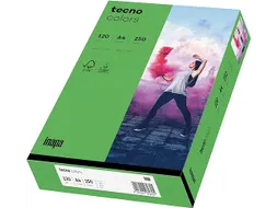 Inapa Tecno colors Gekleurd papier A4 Intens Groen 120 gram 250 vel