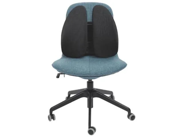SmartFit rugsteun, zwart