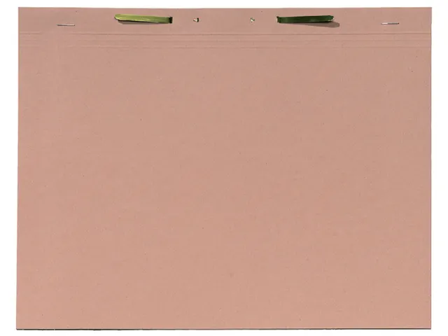 Binnenmap Djois folio met snelhechter 300gr chamois