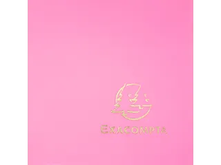 Elastomap 3 kleppen polypropyleen ondoorschijnend Eco A4 Fuchsia - 3