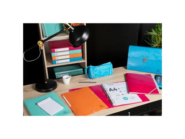 Boite de classement polypropylène recyclé Maïa dos 40mm - A4 - Coul