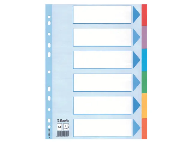 Tabbladen Esselte A4 11-Gaats Karton 6-Delig Kleur
