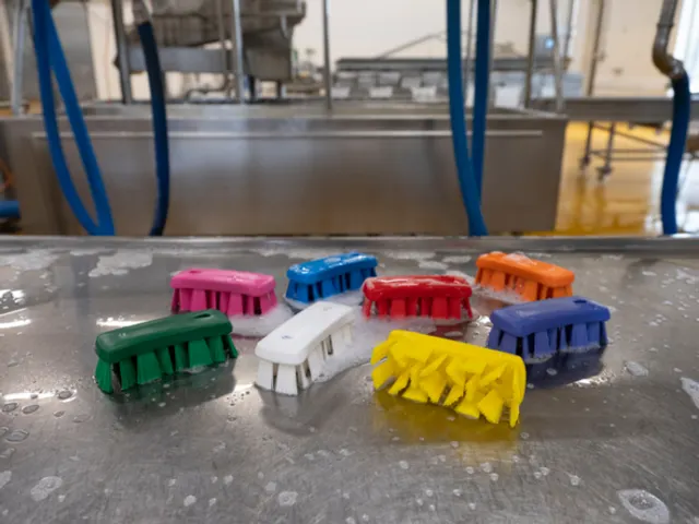 Vikan 3891-4 UST Kleine Werkborstel Harde vezel 176mm Rood