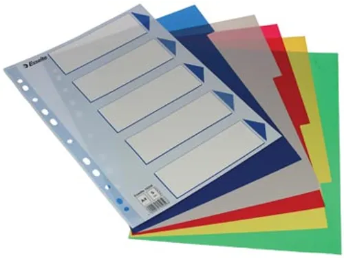 Esselte Tabbladen 5 Tabs