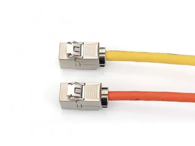 CAT 6A Keystone Module afgeschermd met intelligente kabelmanager 24st