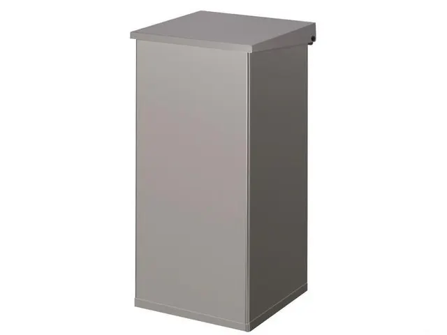 Afvalbak Carro-Lift 55 liter RVS
