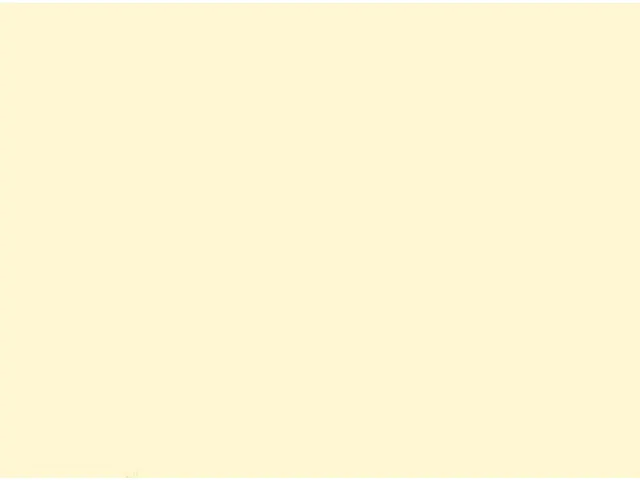 Duni Placemats 30x40cm Papier Cream 4x250 stuks