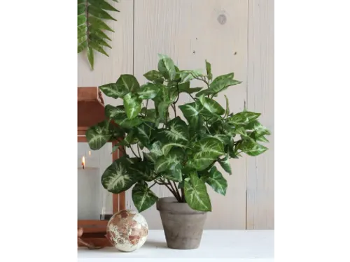 Kunstplant Mica Syngonium groen in pot 35x25cm