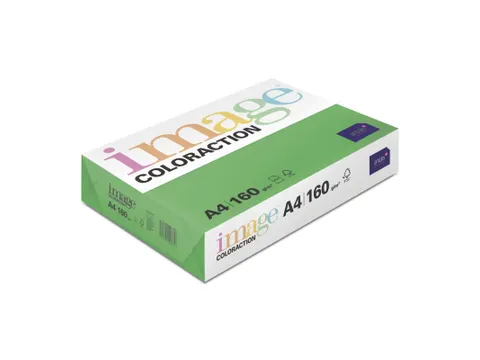 Kopieerpapier Dublin Donkergroen A4 160 Gram 250 Vel