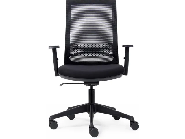 Bureaustoel Basic Ergo Net Zwart Lendensteun