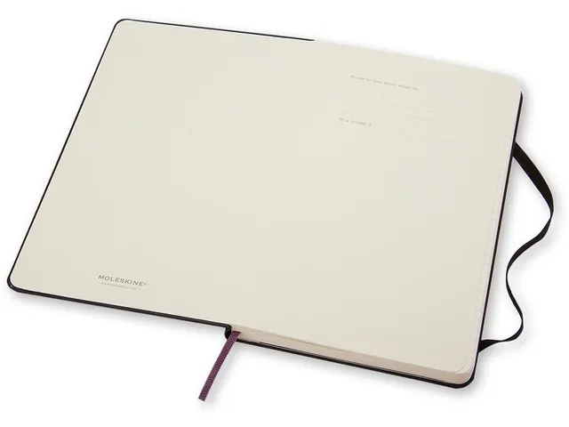 Notitieboek Moleskine large 130x210mm lijn hard cover zwart