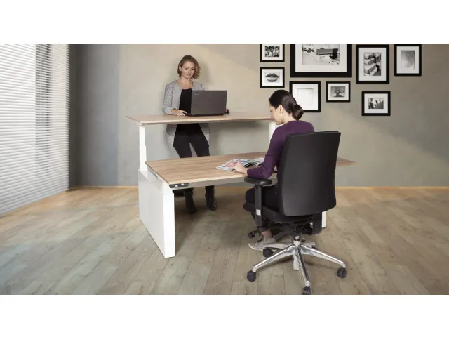 Wang voor Dextro Plus Duo bureau aluminium