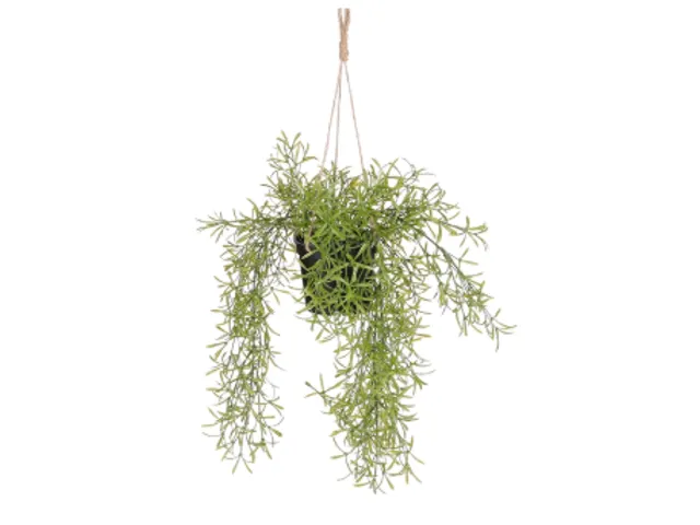 Kunstplant Mica Rhipsalis hangend in pot groen 40x20cm
