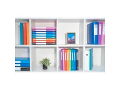 Ringmap PP OPAK A4 2 R 15mm donkelgrauen