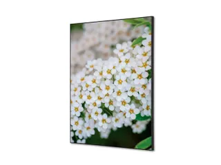 Wanddecoratie Textiel Set A2 Witte Bloem Spirea - 1