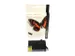 Cartridge SecondLife Epson 18 XL zwart (T 1811)