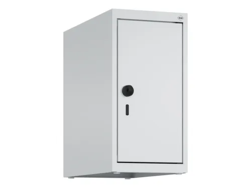 opzetkast,v. locker,1vak.,vak B 250mm,HxBxD 500x250x500mm,vleugeldeur