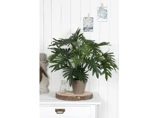 Kunstplant Mica Philodendron selloum groen in pot 50x60cm - 5