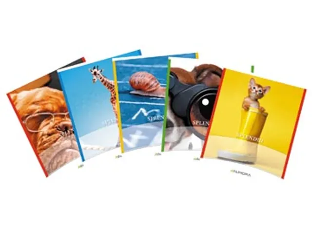 Splendid schrift, 36 bladzijden, ft 165x210mm, 2 lijnen assorti