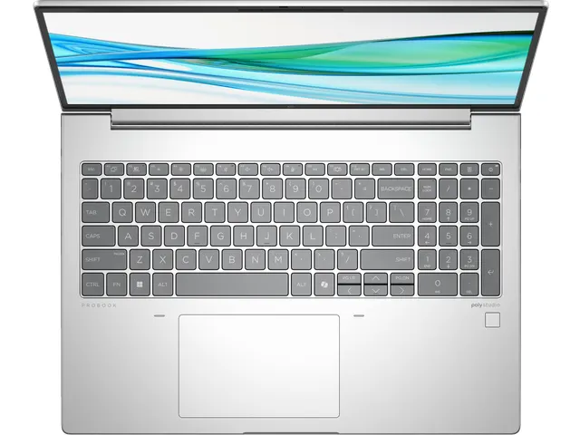 ProBook 465 16 inch G11 notebook-pc, 16 inch, Windows 11 Pro, AMD Ryze