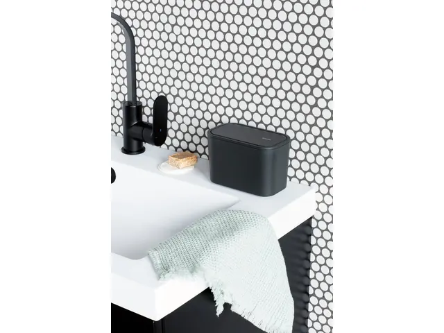 Mindset Bac à Déchets, Brabantia