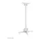 Support de plafond pour vidéoprojecteur Neomounts CL25-550WH1 blanc