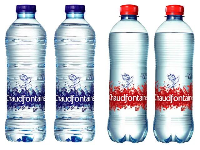 Eau Chaudfontaine plate bouteille PET 500ml