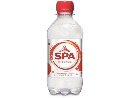 Water Intense Fles 33 Cl Pak 24 Stuks