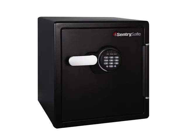 Brandkast Sentry Safe Sfw123ftc