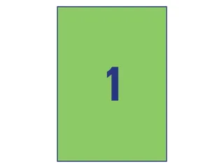 Gekleurde Etiketten Avery Zweckform 210x297mm A4 Groen 100 stuks - 3