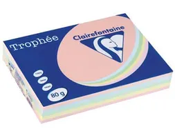 Trophée Pastel gekleurd papier A4 80 gram 500vel Assorti