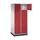 grootvolume-lockersysteem,RAL 7035/RAL 3003,HxBxD 1950x820x600mm