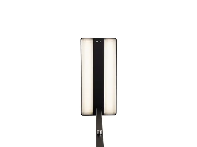 Vloerlamp LED MAULjuvis Zwart Sensor Dimbaar Voet