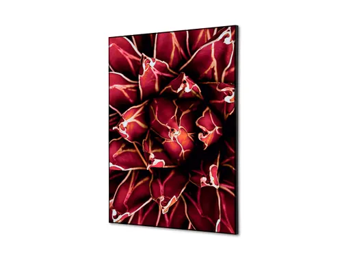 Wanddecoratie Textiel Set A2 Cactus Rood
