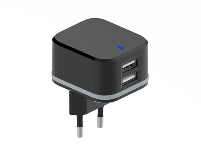 Compacte Lader Met 2 USB-Aansluitingen - 5 V - 3.4 A MAX. ( 2.4 + 1 A