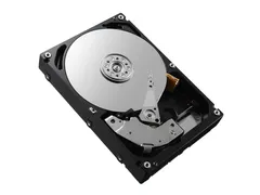 2.4TB, SAS, 10000rpm, 12Gbps, Hot-Plug