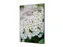Wanddecoratie Textiel Set A1 Witte Bloem Spirea