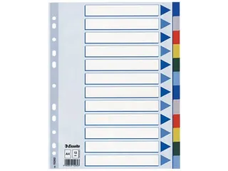 Esselte Tabbladen A4 12-Delig 11-Gaats - 1