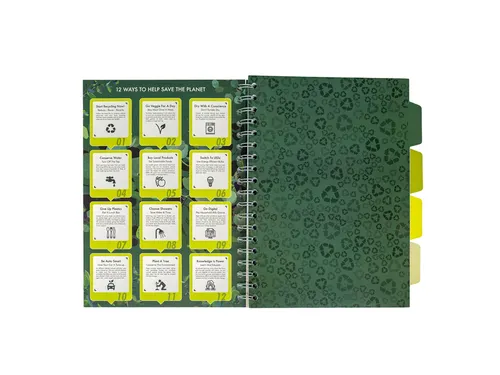 Projectboek Pukka Pad Recycled B5 lijn 4-tabs 200 pagina's 80gr groen