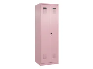 locker voor scheiding van kleding,HxBxD 1850x600x500mm,2vak - 2