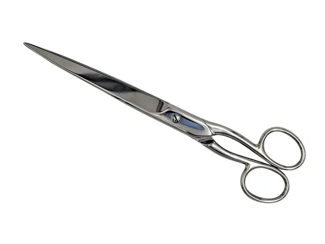 Schaar 250mm roestvrijstaal rechtshandig