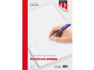 Cursusblok Quantore A4 ruit 5mm 100vel 80gram met kantlijn+ - 2