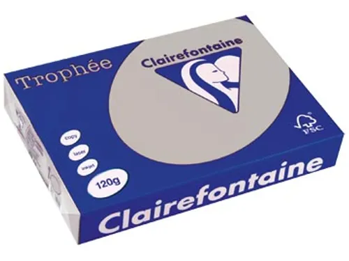 Trophée Pastel gekleurd papier A4 120 gram 250vel Lichtgrijs