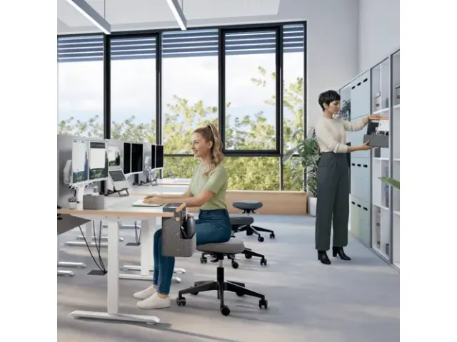 Leitz hangende draagbare bureau organizer met handvat donkergrijs