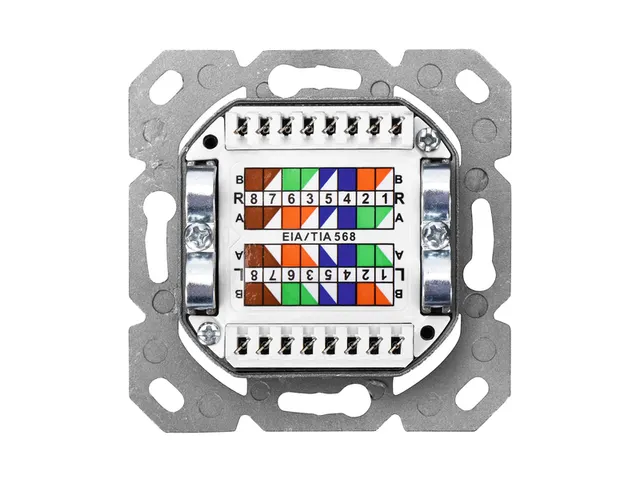 Cat 6 muur outlet 2 poorts RJ45
