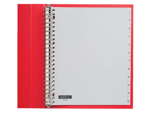 Tabbladen Quantore A4 23-Gaats 1-12 Genummerd Extra Breed Pp