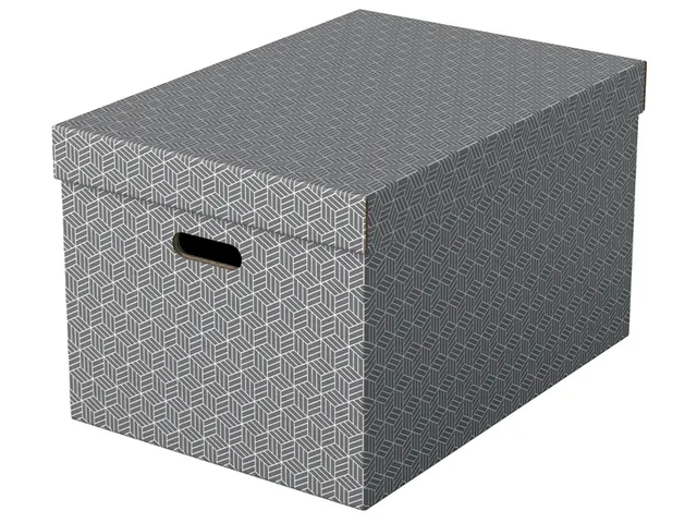 Esselte Home Grote Opbergdoos Grijs 355x305x510mm Set van 3